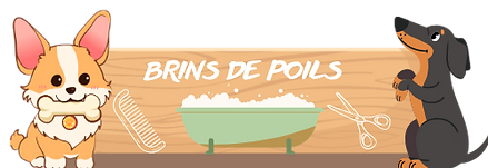 logo Brin de poils